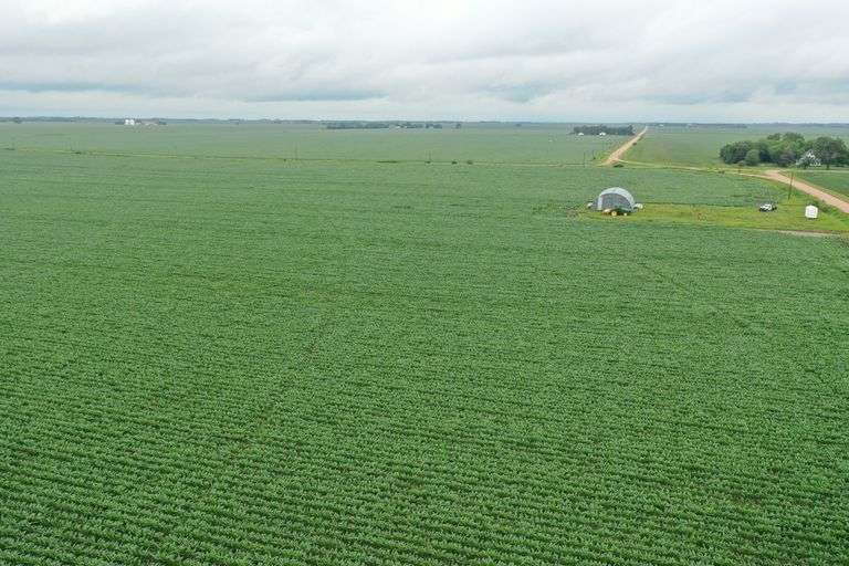 Irrigated Farm