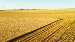 Dryland Farm