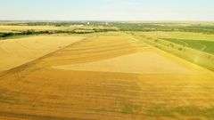 Dryland Farm