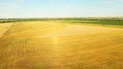 Dryland Farm
