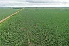 Irrigated Farm