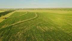 Dryland Farm