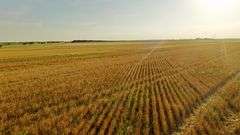 Dryland Farm