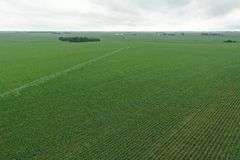 Irrigated Farm