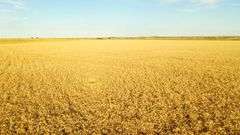 Dryland Farm