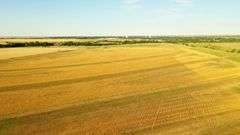 Dryland Farm