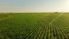 Dryland Farm