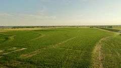 Dryland Farm