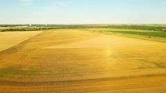 Dryland Farm