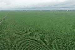 Irrigated Farm