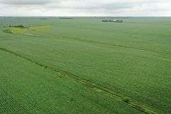 Irrigated Farm