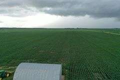 Irrigated Farm