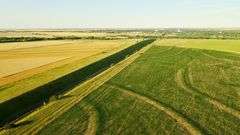 Dryland Farm