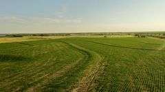 Dryland Farm