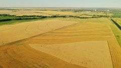 Dryland Farm