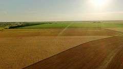Dryland Farm