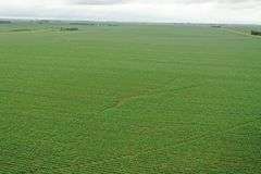 Irrigated Farm