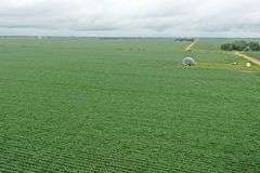 Irrigated Farm