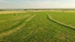 Dryland Farm