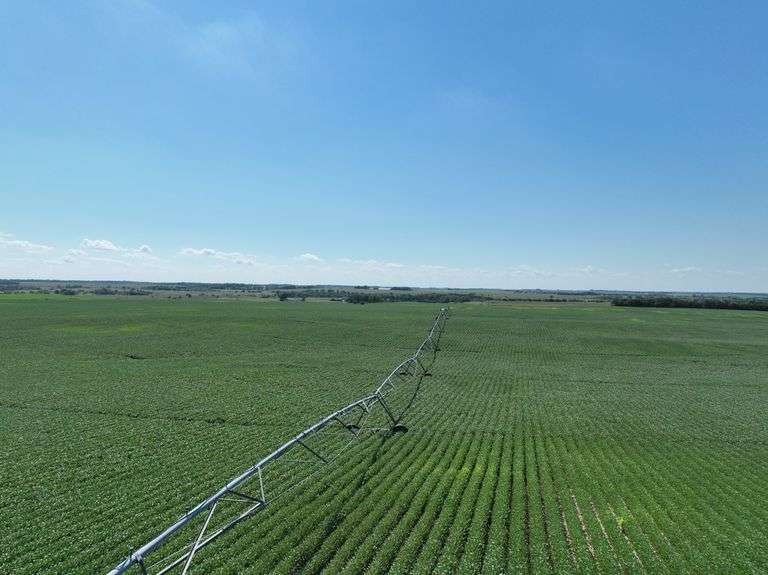 Antelope County, NE Farms