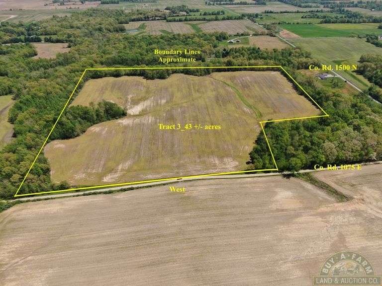 Wayne County IL 254+- Acres / 3 Tracts / Tillable Income Cropland / 3002A