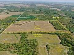 Wayne County IL 254+- Acres / 3 Tracts / Tillable Income Cropland / 3002A