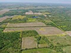 Wayne County IL 254+- Acres / 3 Tracts / Tillable Income Cropland / 3002A