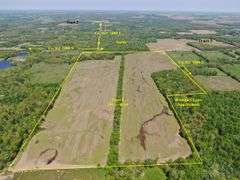 Wayne County IL 254+- Acres / 3 Tracts / Tillable Income Cropland / 3002A