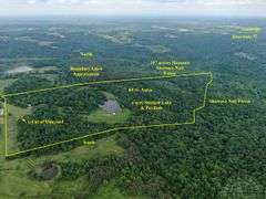 Union County IL 89+- Acres / 3006A