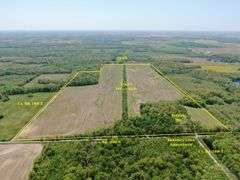 Wayne County IL 254+- Acres / 3 Tracts / Tillable Income Cropland / 3002A
