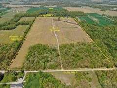 Wayne County IL 254+- Acres / 3 Tracts / Tillable Income Cropland / 3002A