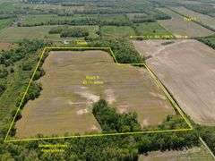 Wayne County IL 254+- Acres / 3 Tracts / Tillable Income Cropland / 3002A