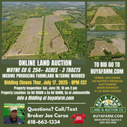 Wayne County IL 254+- Acres / 3 Tracts / Tillable Income Cropland / 3002A