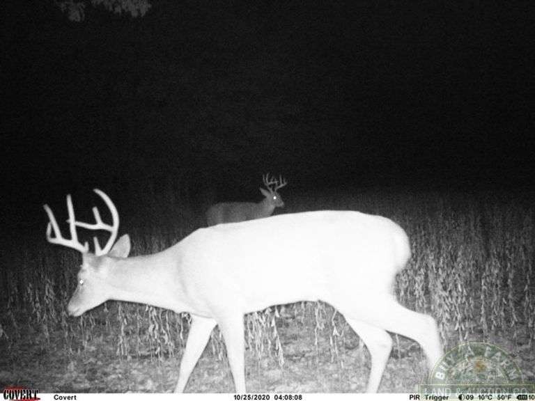 Jackson County IL 315+- Acres / 5 Tracts / 3001A