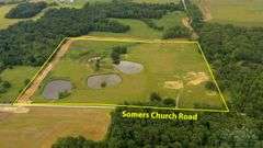 Williamson County IL 40+- Acres / 3007A