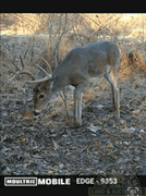 Union County IL 89+- Acres / 3006A