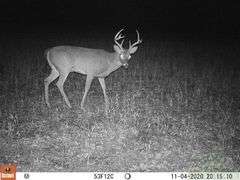 Jackson County IL 315+- Acres / 5 Tracts / 3001A