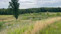 Williamson County IL 40+- Acres / 3007A