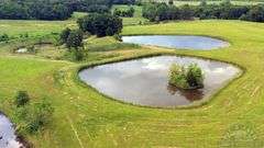 Williamson County IL 40+- Acres / 3007A