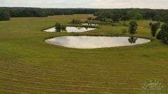 Williamson County IL 40+- Acres / 3007A