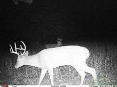 Jackson County IL 315+- Acres / 5 Tracts / 3001A
