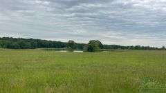 Williamson County IL 40+- Acres / 3007A