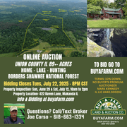 Union County IL 89+- Acres / 3006A