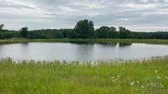 Williamson County IL 40+- Acres / 3007A