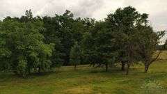 Williamson County IL 40+- Acres / 3007A