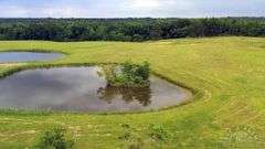 Williamson County IL 40+- Acres / 3007A