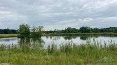 Williamson County IL 40+- Acres / 3007A