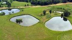 Williamson County IL 40+- Acres / 3007A