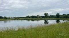 Williamson County IL 40+- Acres / 3007A