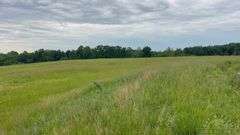 Williamson County IL 40+- Acres / 3007A